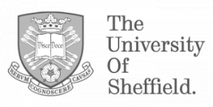 university logo design service