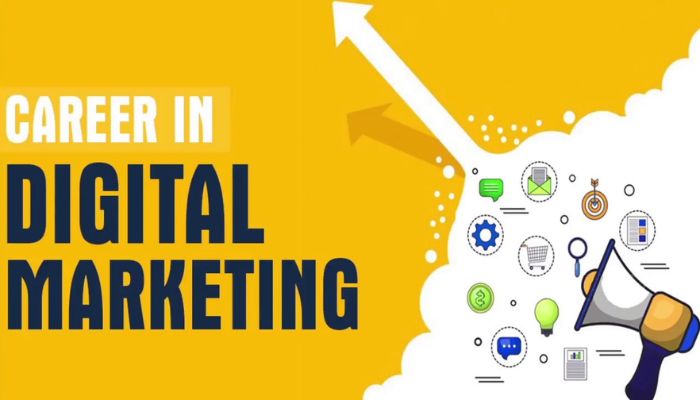 Entry level digital marketing career